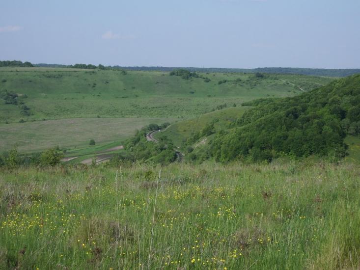 Гутисько з panoramio.com - Gutysko