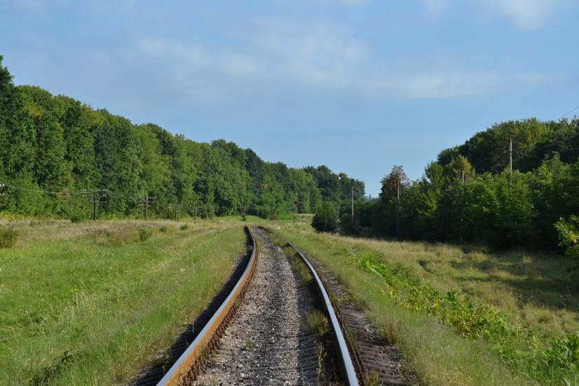 Подвір'ївка з panoramio.com - Подворьевка