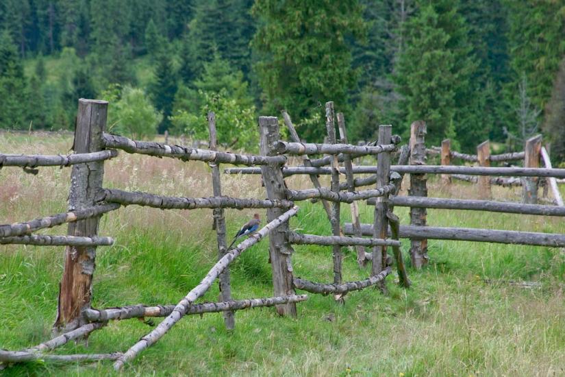 Труханів з panoramio.com - Trukhaniv