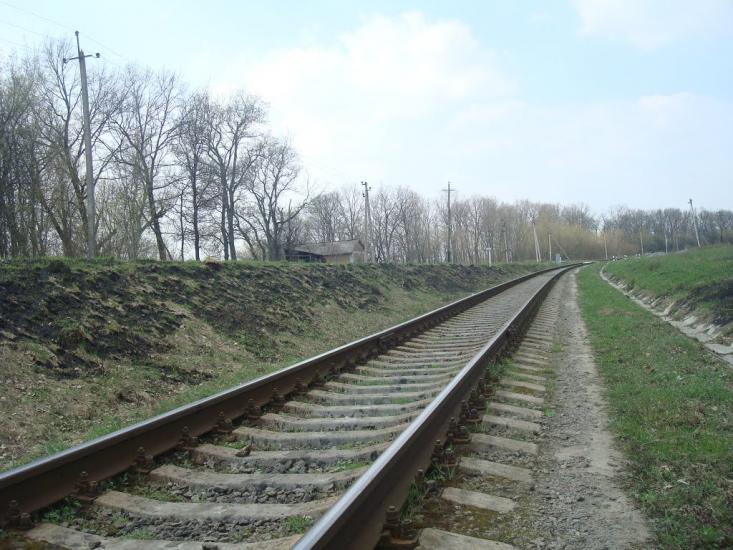 Лісова Волиця з panoramio.com - Lisova Volytsya