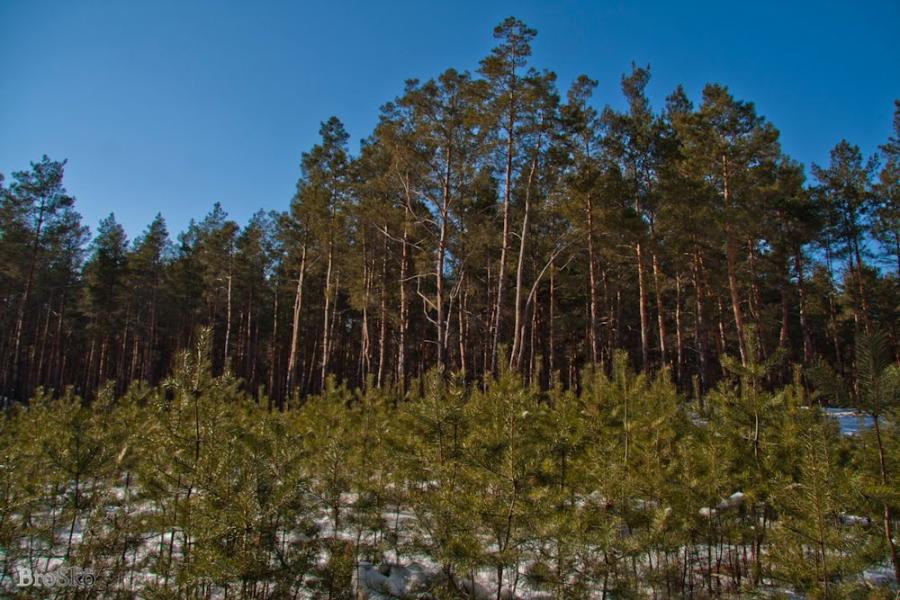 Горянівське з panoramio.com - Горяновское