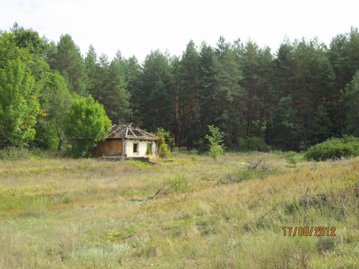 Межиріч з panoramio.com - Межирич