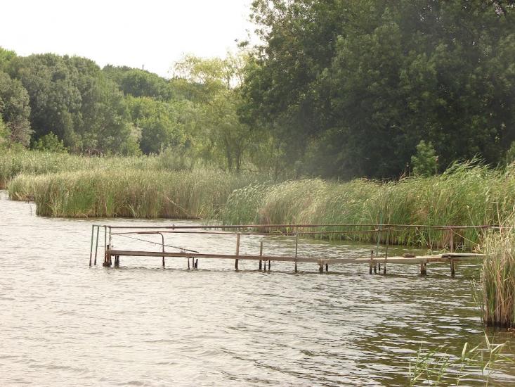 Новий Донбас з panoramio.com - Новый Донбасс