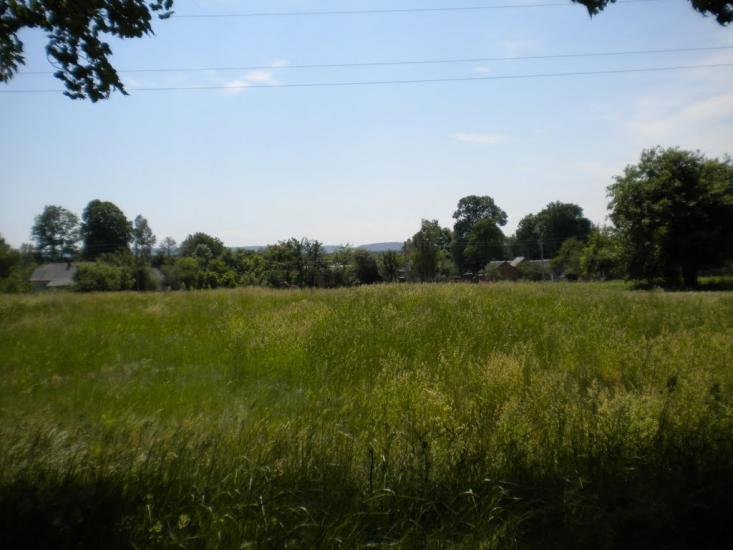 Цитуля з panoramio.com - Цитуля