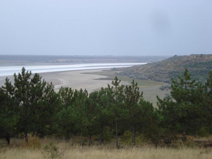 Нова Ковалівка з panoramio.com - Новая Ковалевка