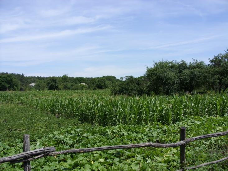 Хорішки з panoramio.com - Хорішки