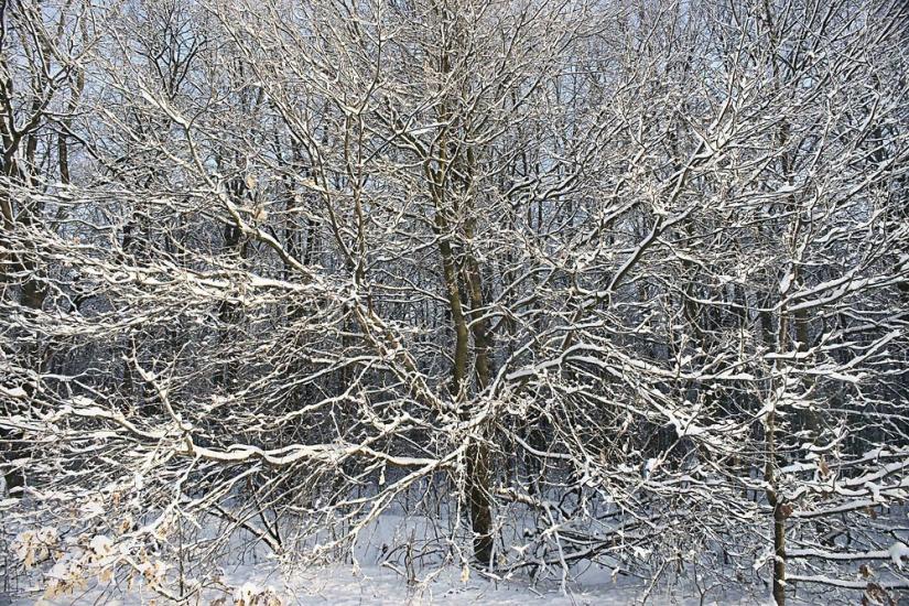 Мала Стариця з panoramio.com - Мала Стариця