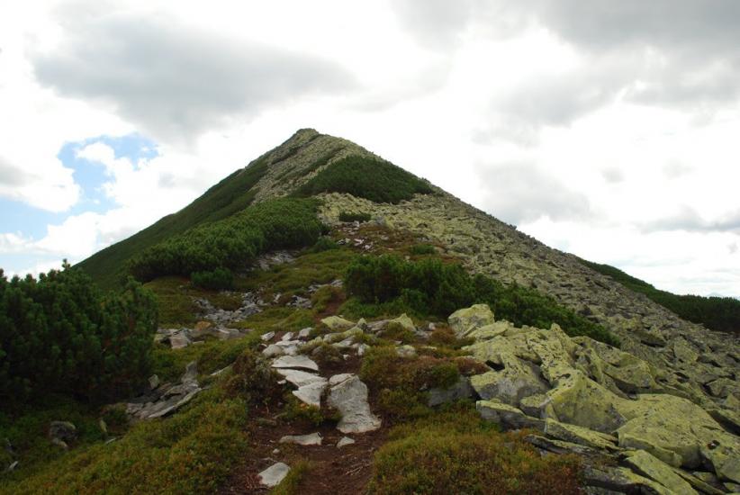 Черник з panoramio.com - Черник