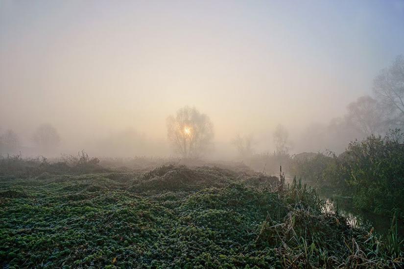 Мала Стариця з panoramio.com - Мала Стариця