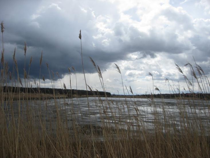 Переможне з panoramio.com - Переможне
