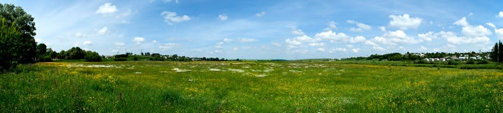 Підволочиськ з panoramio.com - Подволочиск