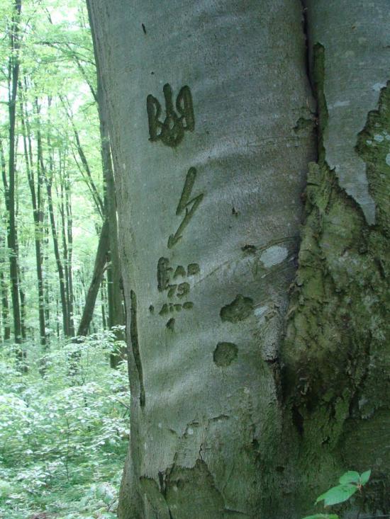 Іванківці з panoramio.com - Иванковцы