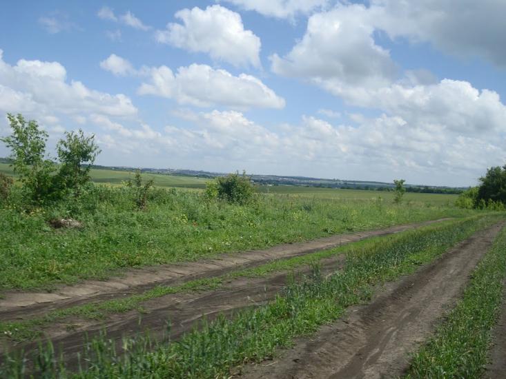 Малашівці з panoramio.com - Малашевцы