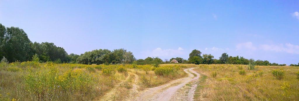 Приліпка з panoramio.com - Прилипка