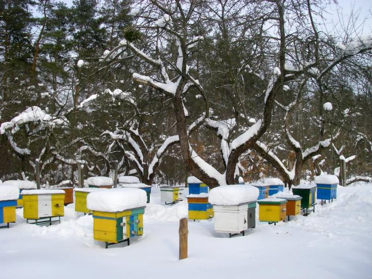 Глеваха з panoramio.com - Глеваха