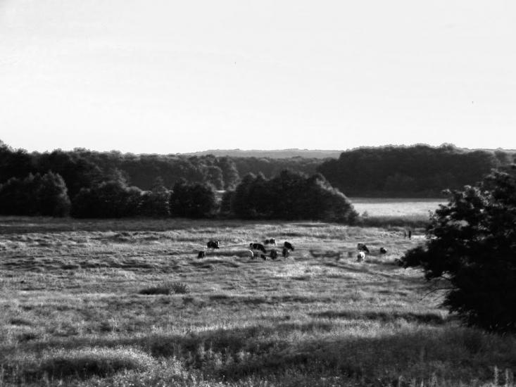 Безручки з panoramio.com - Безручки