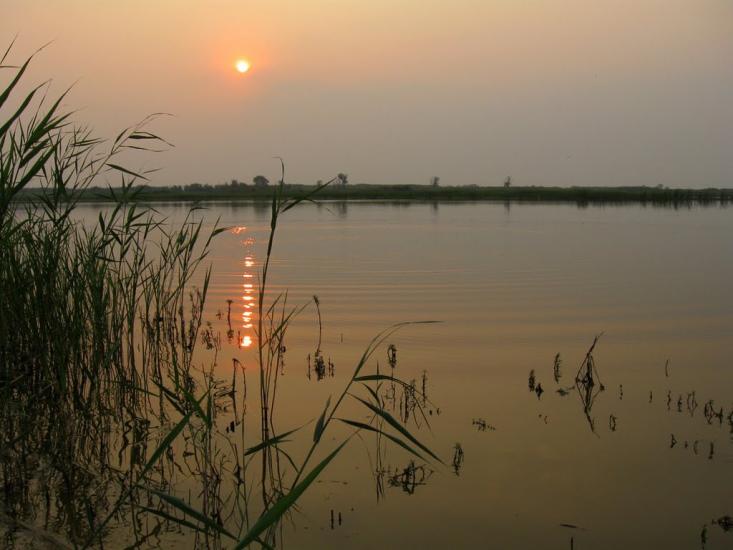 Вільхове з panoramio.com - Вільхове