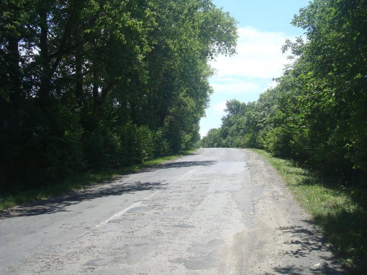 Баламутівка з panoramio.com - Balamutivka