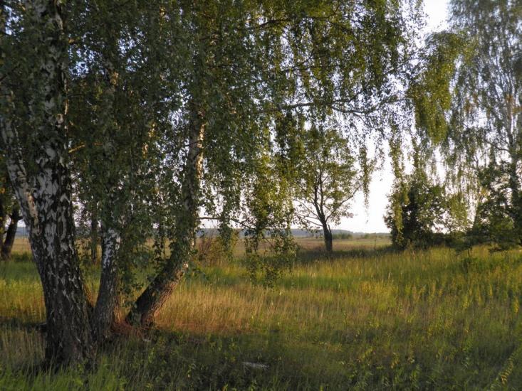 Єньків з panoramio.com - Yenkiv