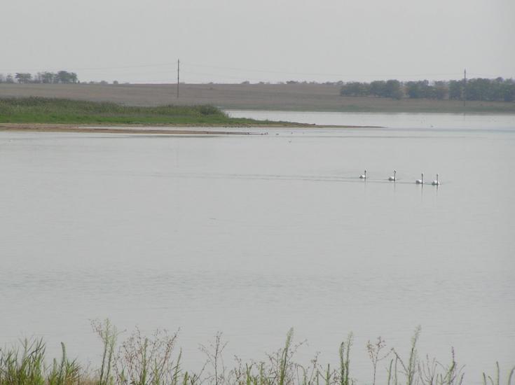 Красноперекопськ з panoramio.com - Красноперекопск
