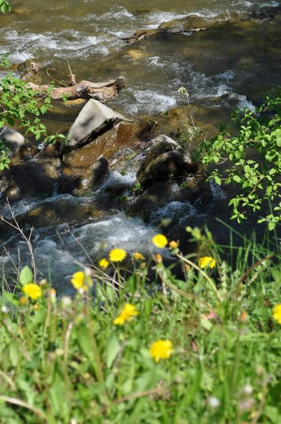 Бронька з panoramio.com - Бронька