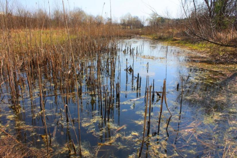 Хоцьки з panoramio.com - Хоцки