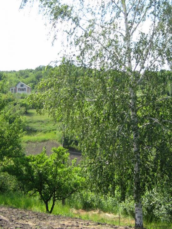 Мохнач з panoramio.com - Мохнач