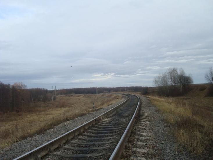 Нижчі Вовківці з panoramio.com - Нижчі Вовківці