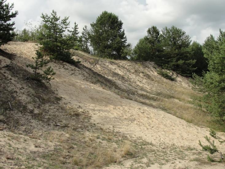 Під'язівні з panoramio.com - Під'язівні