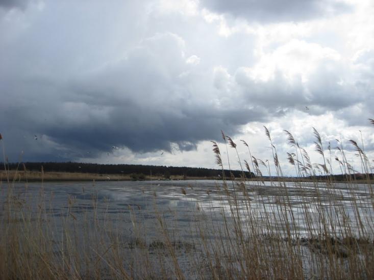 Березець з panoramio.com - Березець