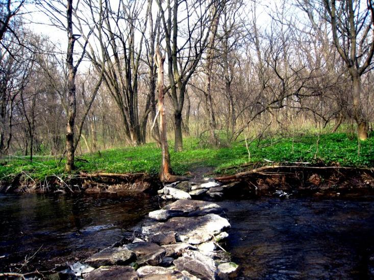 Комісарівка з panoramio.com - Комиссаровка