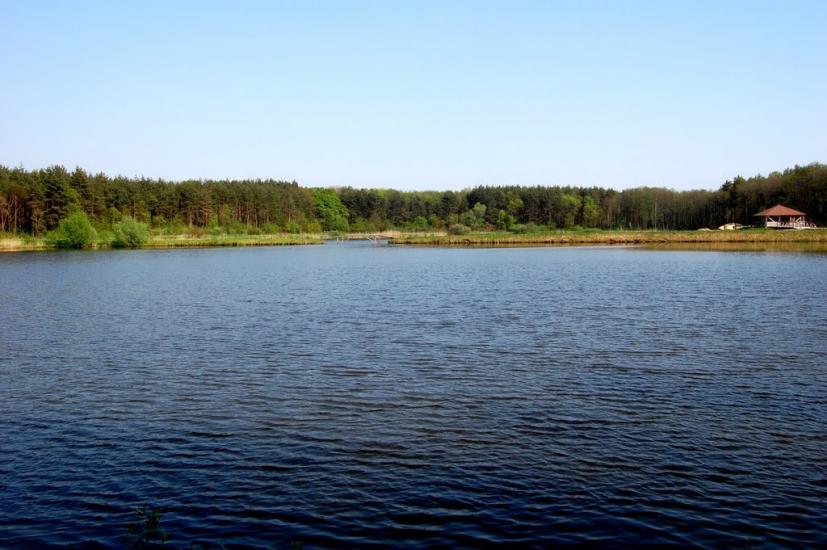 Шегині з panoramio.com - Шегини