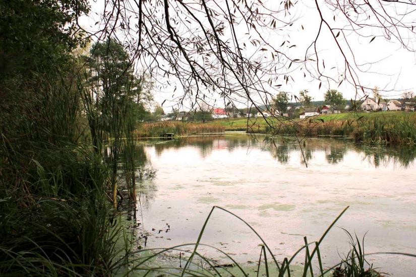 Житомир з panoramio.com - Житомир
