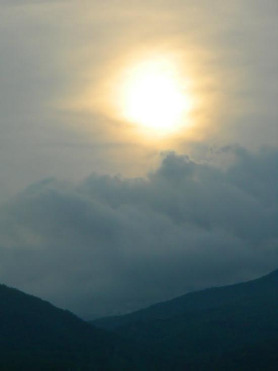 Чайка з panoramio.com - Чайка