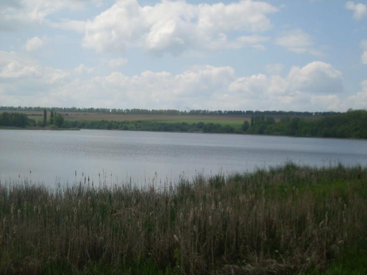 Крутогорб з panoramio.com - Крутогорб