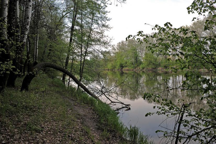 Богородичне з panoramio.com - Богородичное