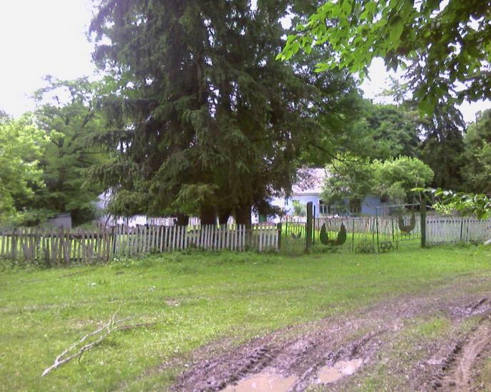 Березна з panoramio.com - Березна
