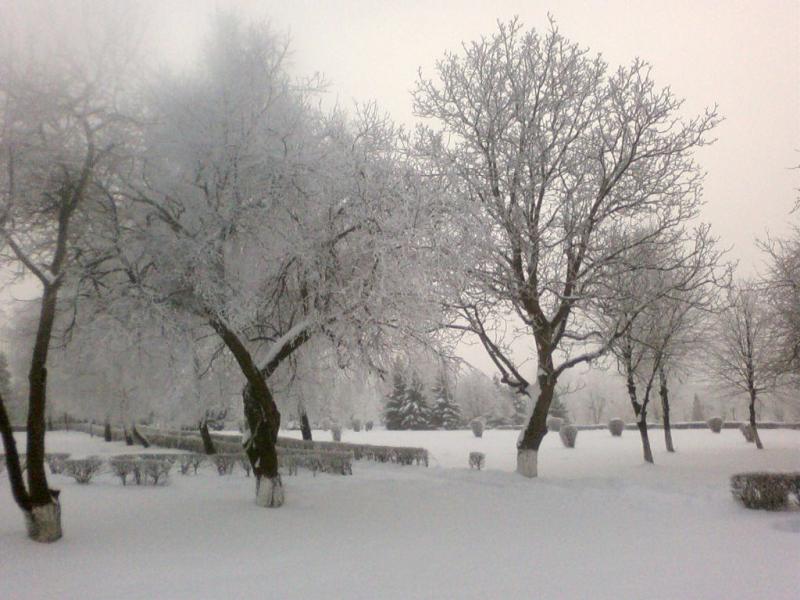 Полонка з panoramio.com - Полонка