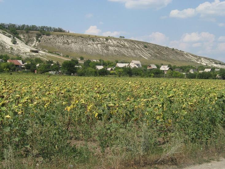 Гайове з panoramio.com - Гайове