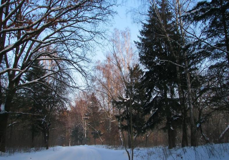 Волиця з panoramio.com - Волица