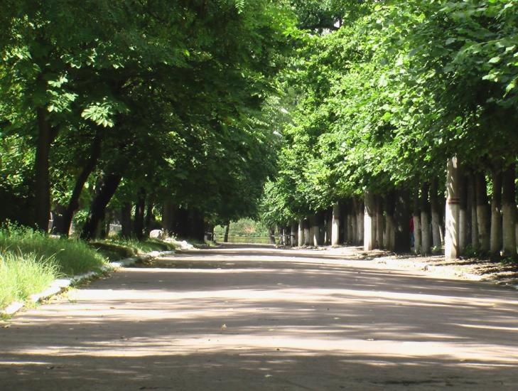 Озерне з panoramio.com - Озерне