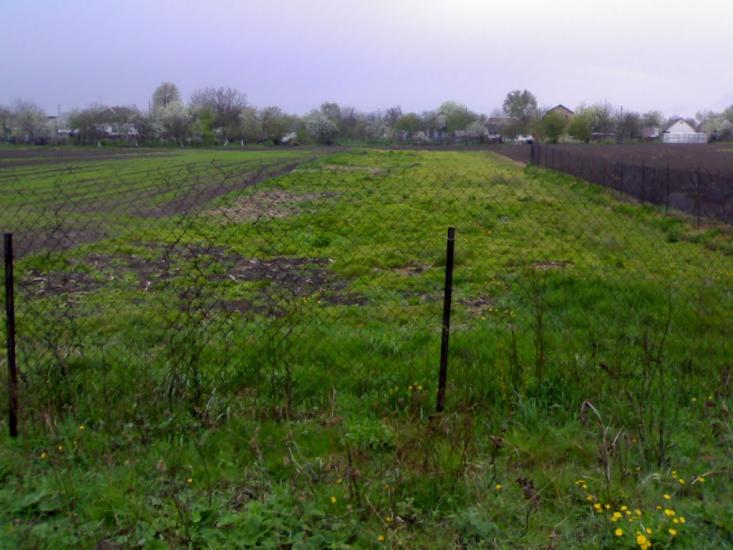Богданівка з panoramio.com - Богдановка
