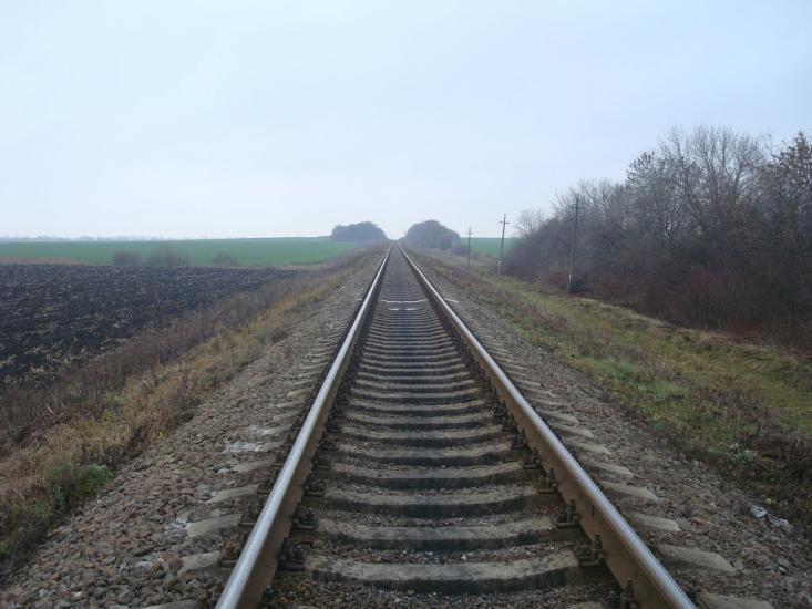 Воронківці з panoramio.com - Воронковцы