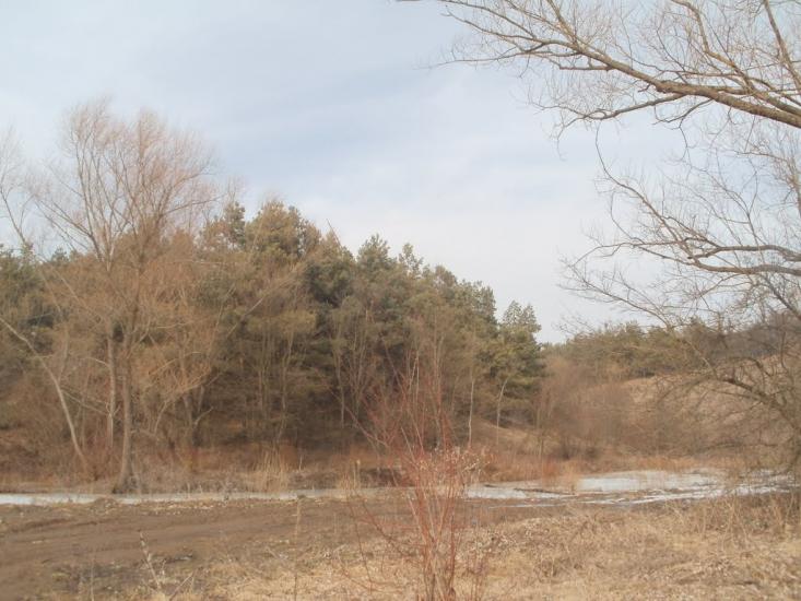 Млинки з panoramio.com - Млынки