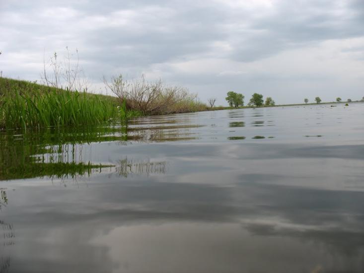 Нижча Дубечня з panoramio.com - Низшая Дубечня