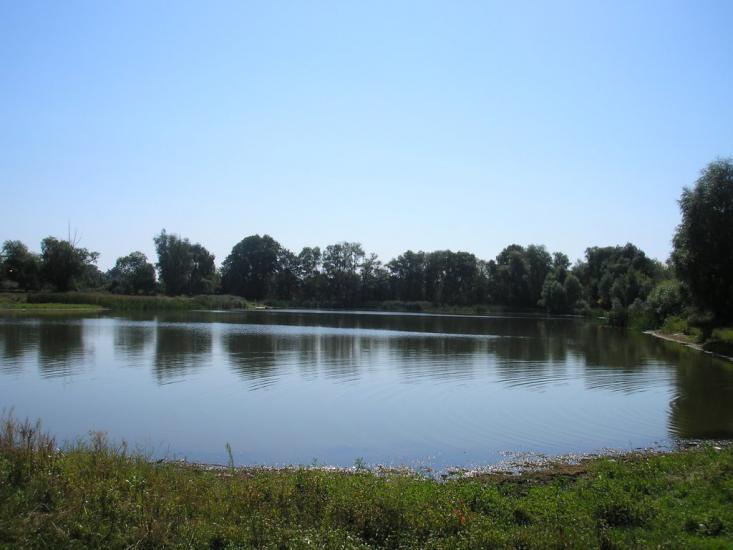 Жовтневе з panoramio.com - Жовтневое