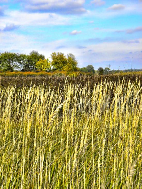 Безручки з panoramio.com - Безручки