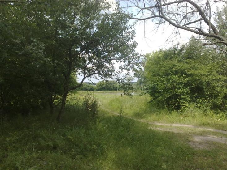 Мотовилівська Слобідка з panoramio.com - Мотовилівська Слобідка