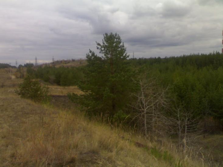 Щастя з panoramio.com - Счастье