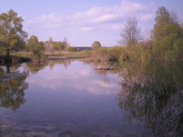 Авдіївка з panoramio.com - Авдіївка